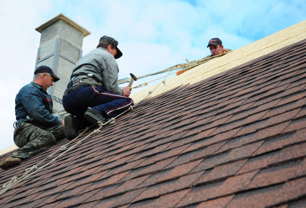 Best Roof Maintenance Services  in Stanley, WI
